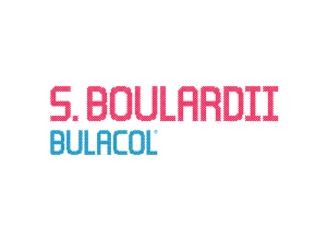 S. BOULARDII BULACOL®